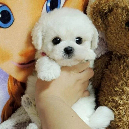 Realistic Plush Puppy Dog, Lifelike Teddy Dog Lucky