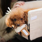 sjbackyard Pet Armrest Safety Seat, Car Seat Travel Bag for Small Dogs and Cats