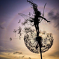 Metal Fairy Garden Stake with Dandelion Design, 25-45 Inches Tall