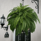Artificial Boston Fern Bundle 18 Pack with UV Protection and Water Shedding