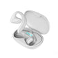 Instant Language Translator Earbuds