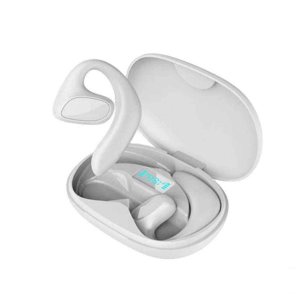 Instant Language Translator Earbuds