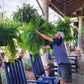 Mygametables Artificial Boston Fern UV Resistant Outdoor Plant
