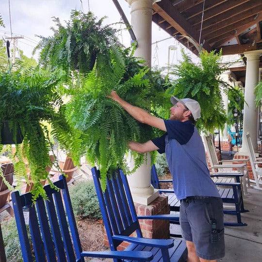 Mygametables Artificial Boston Fern UV Resistant Outdoor Plant