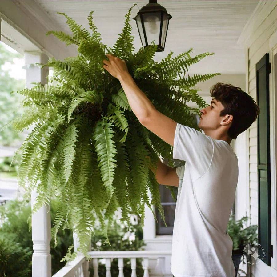 Mygametables Artificial Boston Fern UV Resistant Outdoor Plant