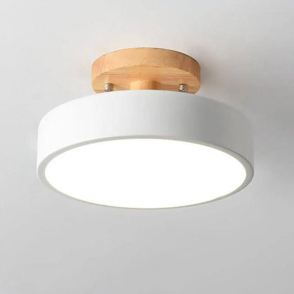 Modern Flush Mount LED Ceiling Light with Adjustable Color Temperature