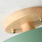 Modern Flush Mount LED Ceiling Light with Adjustable Color Temperature