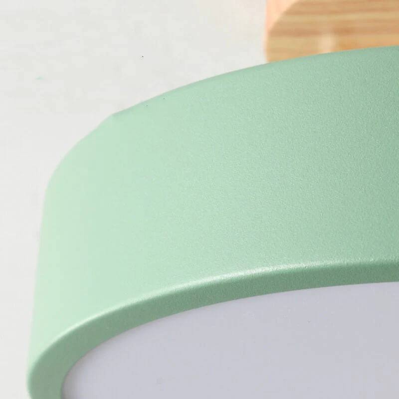 Modern Flush Mount LED Ceiling Light with Adjustable Color Temperature