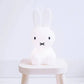 Miffy Rabbit Decorative Figure Iconic Character Design