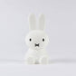 Miffy Rabbit Decorative Figure Iconic Character Design