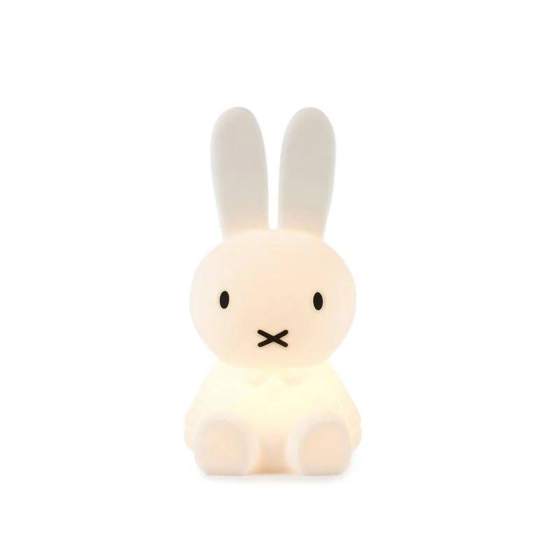 Miffy Rabbit Decorative Figure Iconic Character Design