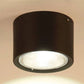 Adjustable Cylinder LED Ceiling Spotlight