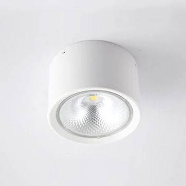 Adjustable Cylinder LED Ceiling Spotlight