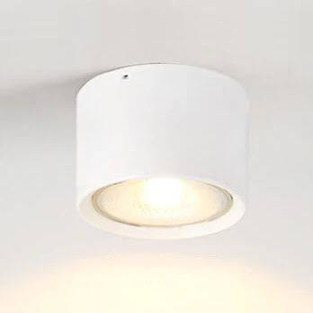 Adjustable Cylinder LED Ceiling Spotlight