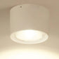 Adjustable Cylinder LED Ceiling Spotlight