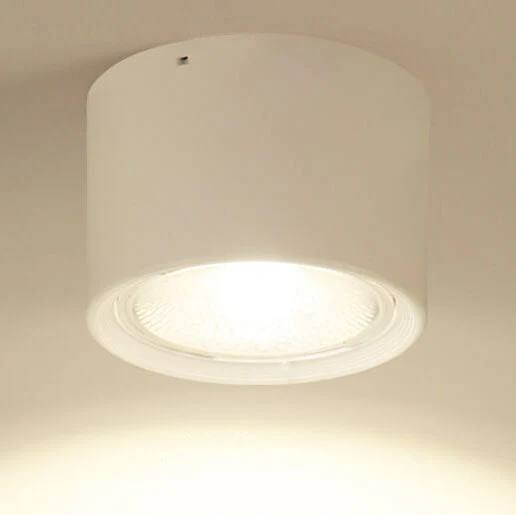 Adjustable Cylinder LED Ceiling Spotlight