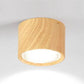 Adjustable Cylinder LED Ceiling Spotlight
