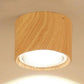 Adjustable Cylinder LED Ceiling Spotlight
