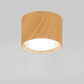Adjustable Cylinder LED Ceiling Spotlight