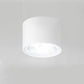 Adjustable Cylinder LED Ceiling Spotlight
