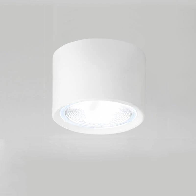 Adjustable Cylinder LED Ceiling Spotlight