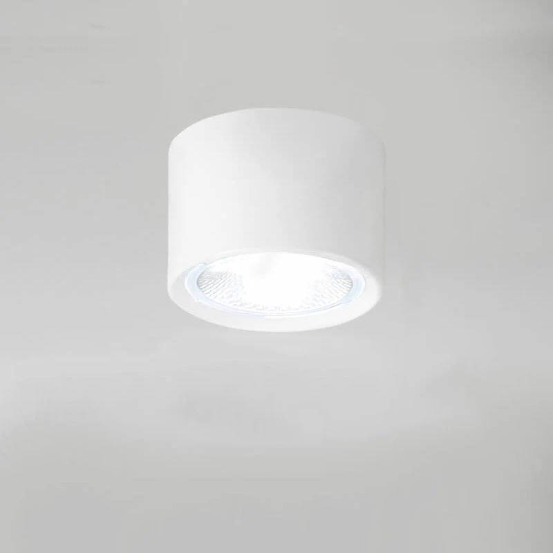 Adjustable Cylinder LED Ceiling Spotlight
