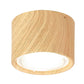 Adjustable Cylinder LED Ceiling Spotlight