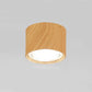 Adjustable Cylinder LED Ceiling Spotlight