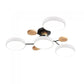 Scandinavian LED Ceiling Light, Branched Modern Design