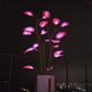LED Indoor Plant Light, Programmable Ambient Lamp