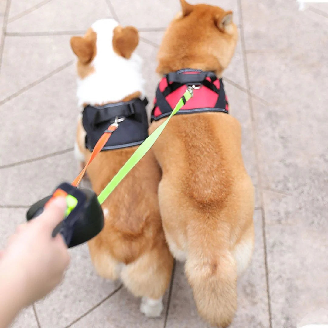 SJBackyard Double Dog Leash with Anti-Tangle Swivel and Padded Handle