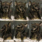 Wolf Mask with Realistic Sculpting and Breathable Fit, Silicone Full Head for Halloween