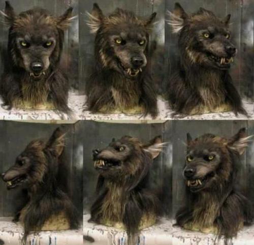 Wolf Mask with Realistic Sculpting and Breathable Fit, Silicone Full Head for Halloween