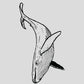 Whale Temporary Tattoo with Pigment Formula, 2.5x4 Inches, 14-Day Wear