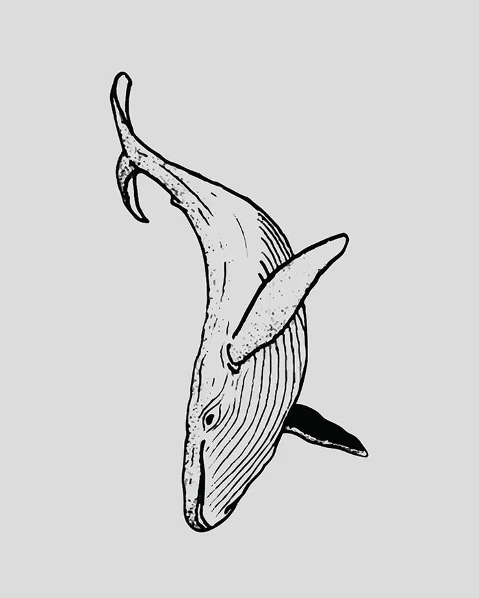 Whale Temporary Tattoo with Pigment Formula, 2.5x4 Inches, 14-Day Wear